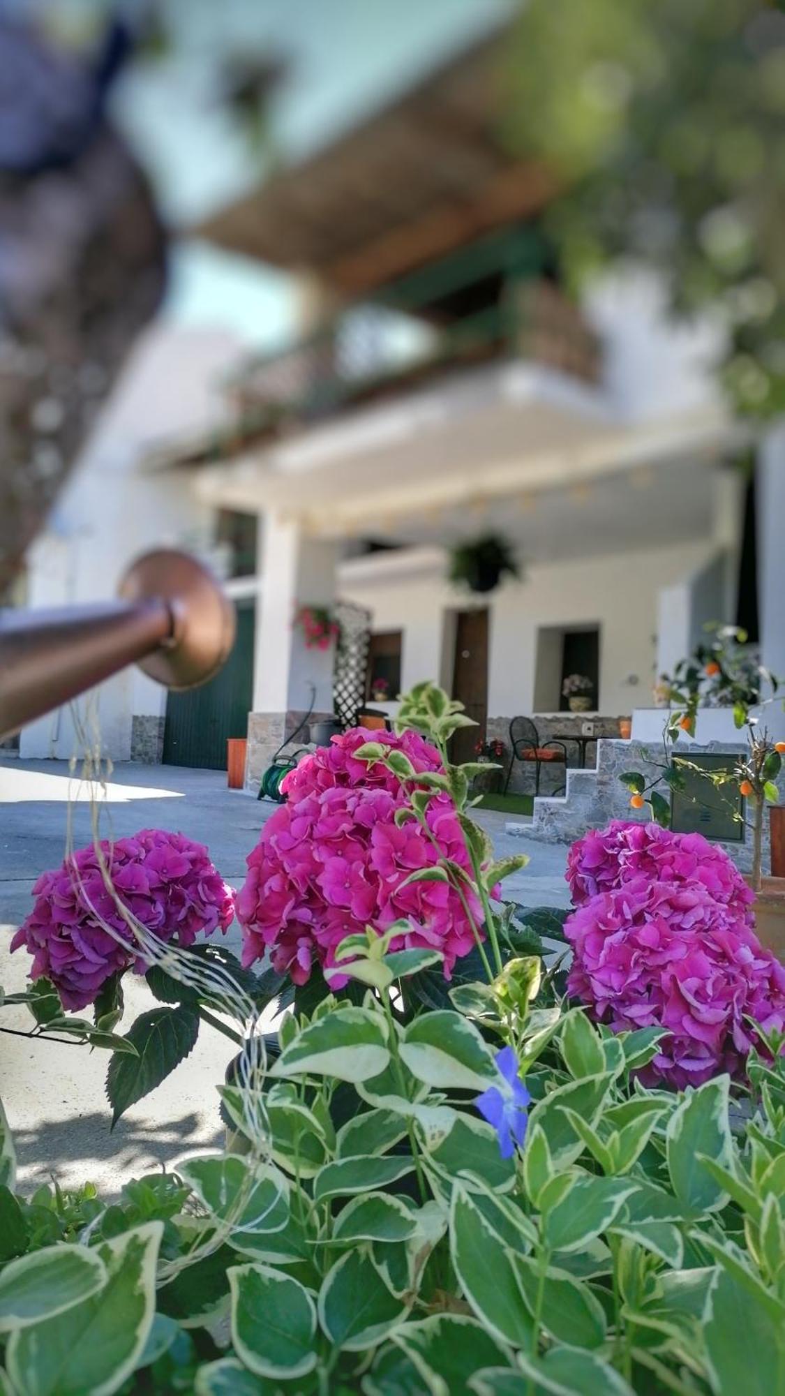 Апартаменты La Casa De La Abuela Пинос-Хениль Экстерьер фото